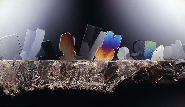 放大125倍的糖。格林伯格拍攝了一系列日常物品，他的樣本和標(biāo)本來(lái)自世界各地的研究人員